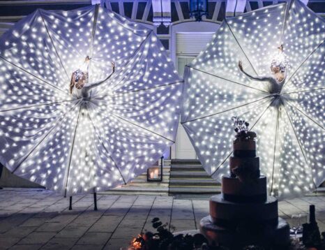 Animazione - Entertainment for everyone - wedding entertainment - Federico Silvestri - Event & Wedding Planner